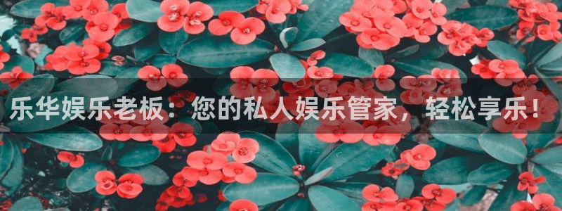 运达娱乐手机版下载：乐华娱乐老板：您的私人娱乐管家，轻松享乐！