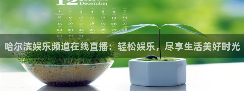 运达娱乐加拿大：哈尔滨娱乐频道在线直播：轻松娱乐，尽享生活美好时光