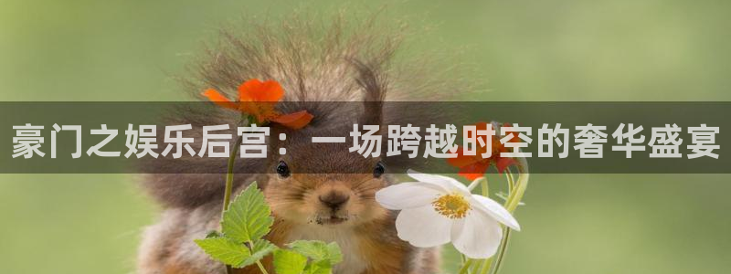 运达娱乐加拿大在线预测：豪门之娱乐后宫：一场跨越时空的奢华盛宴