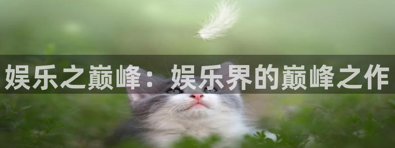 运达娱乐app官网下载：娱乐之巅峰：娱乐界的巅峰之作