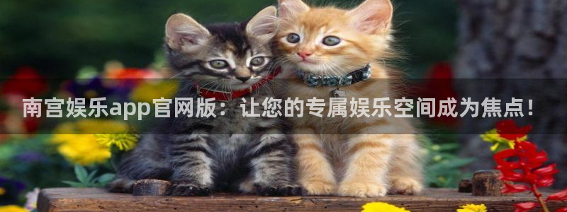 运达娱乐官网版下载链接：南宫娱乐app官网版：让您的专属娱乐空间成为焦点！