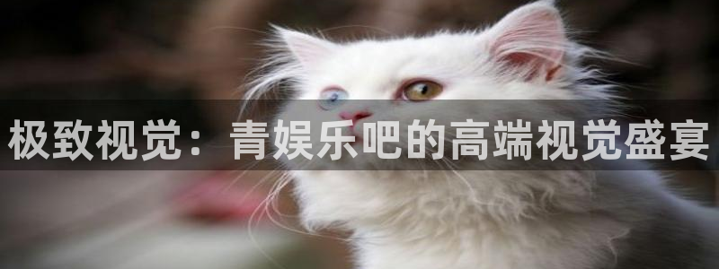 运达娱乐账号注册：极致视觉：青娱乐吧的高端视觉盛宴