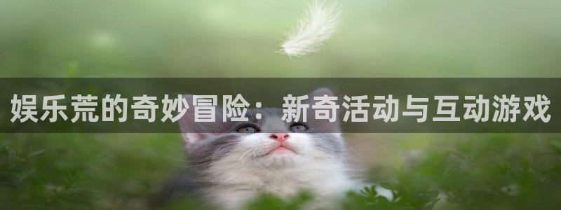 壹号平台注册链接官网下载：娱乐荒的奇妙冒险：新奇活动与互动游戏