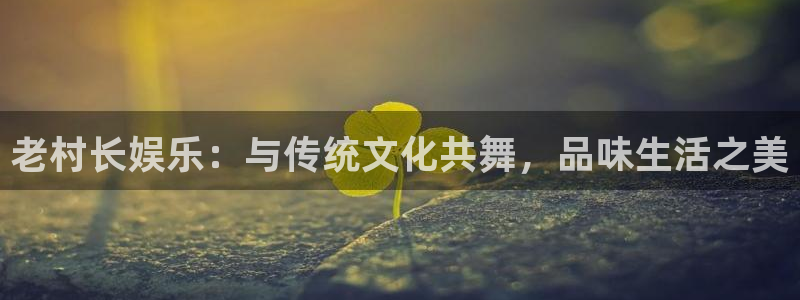 运达娱乐预测pc在线预测网址：老村长娱乐：与传统文化共舞，品味生活之美