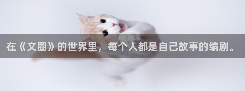 运达娱乐能退款吗：在《文圈》的世界里，每个人都是自己故事的编剧。