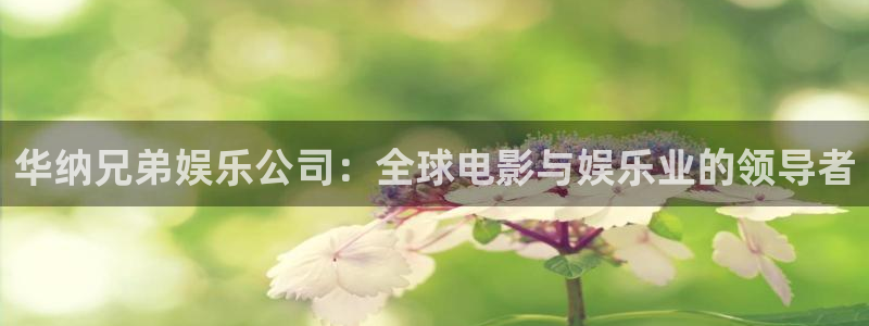 壹号app下载苹果：华纳兄弟娱乐公司：全球电影与娱乐业的领导者