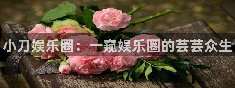 下载运达娱乐：小刀娱乐圈：一窥娱乐圈的芸芸众生