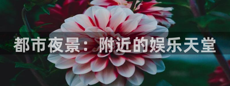 壹号电子娱乐app下载最新版：都市夜景：附近的娱乐天堂