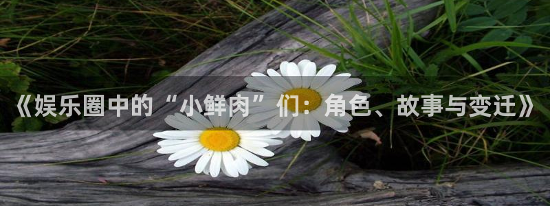 运达娱乐app下载：《娱乐圈中的“小鲜肉”们：角色、故事与变迁》