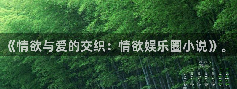 运达娱乐网站：《情欲与爱的交织：情欲娱乐圈小说》。