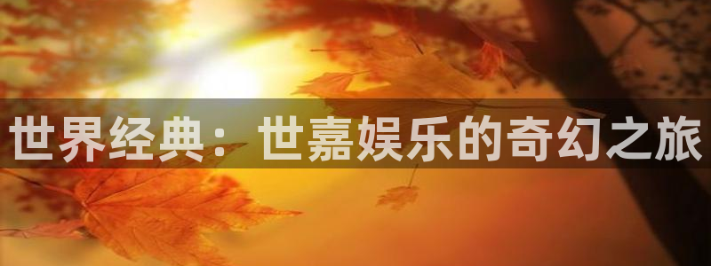 运达娱乐pg：世界经典：世嘉娱乐的奇幻之旅