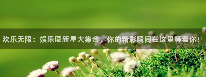 运达娱乐-ng大舞台,有梦你就来：欢乐无限：娱乐圈新星大集合，你的精彩瞬间在这里等着你！