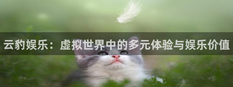 运达娱乐网站平台：云豹娱乐：虚拟世界中的多元体验与娱乐价值