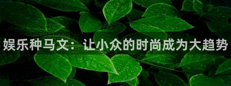 运达娱乐com：娱乐种马文：让小众的时尚成为大趋势