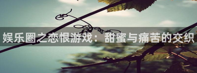 壹号平台下载安装官网：娱乐圈之恋恨游戏：甜蜜与痛苦的交织