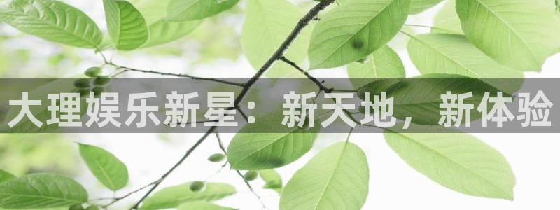 运达娱乐强制退款流程详解：大理娱乐新星：新天地，新体验