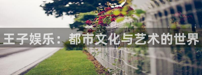 运达娱乐注册官网入口：王子娱乐：都市文化与艺术的世界